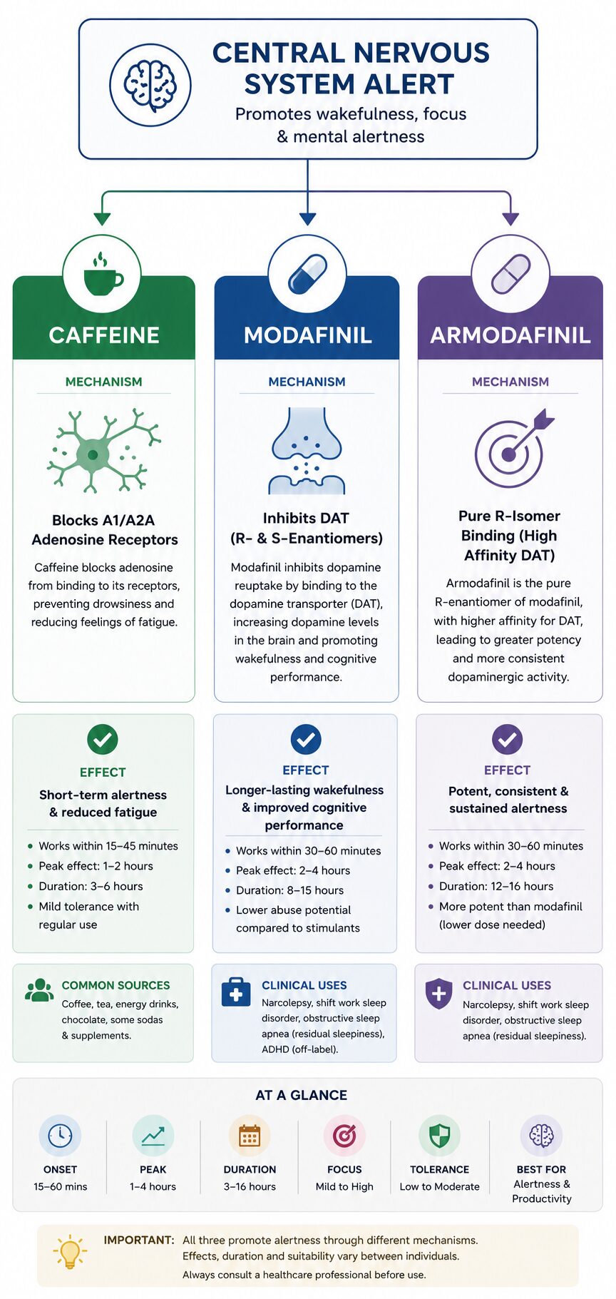 Infographic comparing Modafinil, Armodafinil and caffeine, showing their mechanisms of action, duration, clinical uses and effects on wakefulness and mental alertness in Australia.